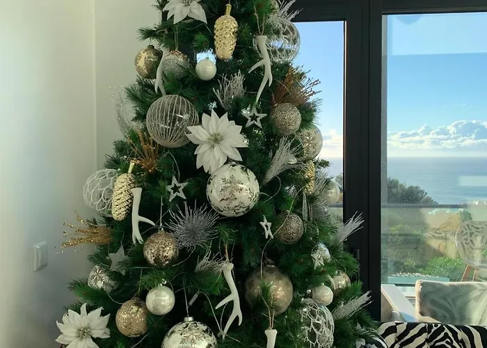 Sunshine * エリセイラ