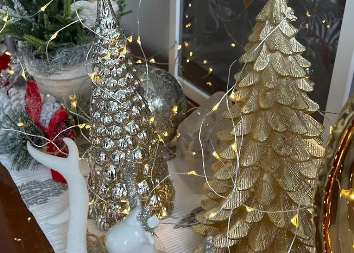 Sunshine * エリセイラ